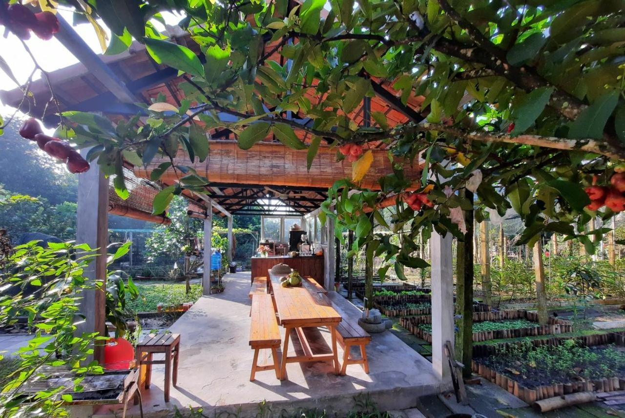 Vuon Nha Ngoai Garden Homestay Ho Si Minh-város Kültér fotó