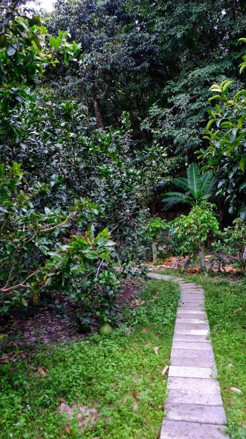 Vuon Nha Ngoai Garden Homestay Ho Si Minh-város Kültér fotó