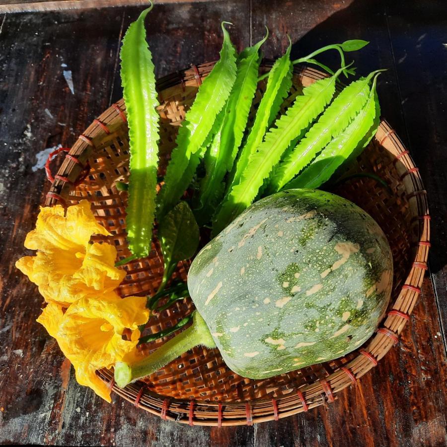 Vuon Nha Ngoai Garden Homestay Ho Si Minh-város Kültér fotó