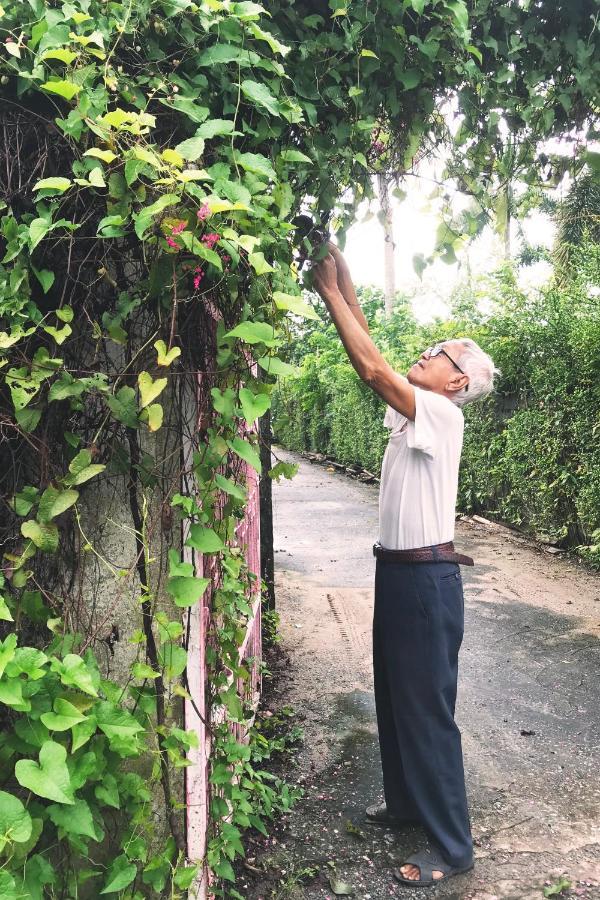 Vuon Nha Ngoai Garden Homestay Ho Si Minh-város Kültér fotó